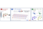 PIE-PS: Photometric Stereo from Physical Irradiance Event Streams